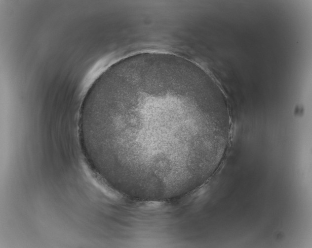 X0000113180151200909251450