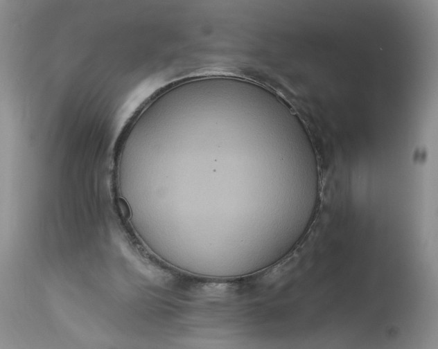 X0000113180152200909251450