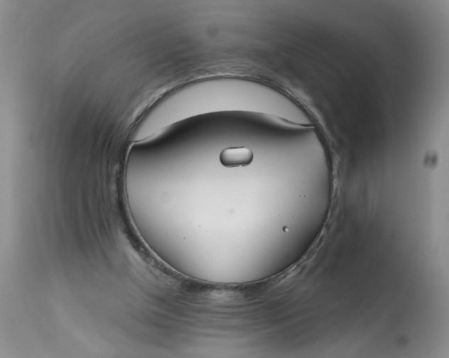 X0000113180154200909251451