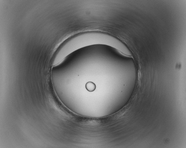 X0000113180156200909251451