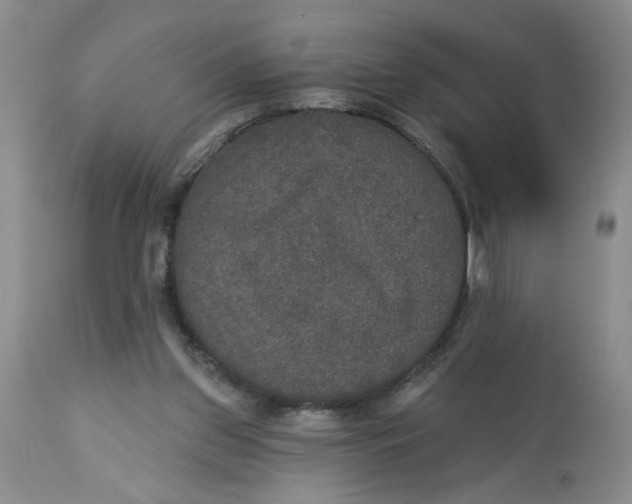 X0000113180157200909251451