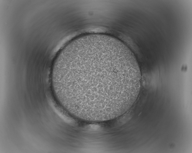 X0000113180159200909251451