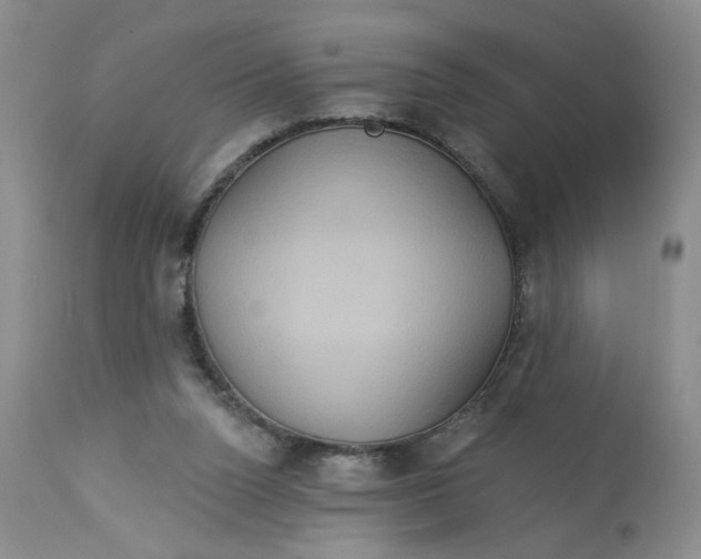 X0000113180160200909251451