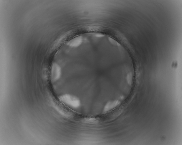 X0000113180161200909251451