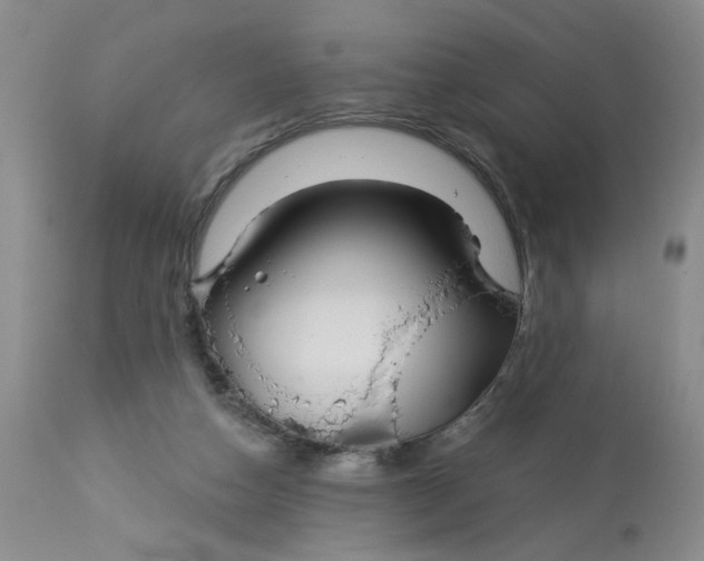 X0000113180162200909251451