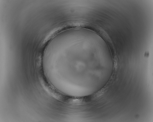 X0000113180163200909251451
