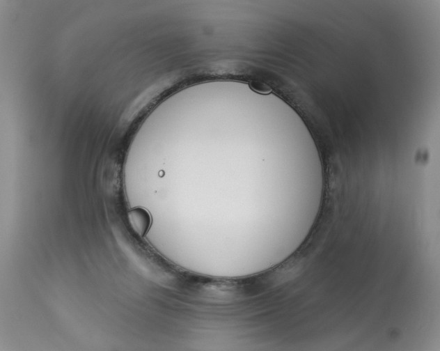 X0000113180164200909251451