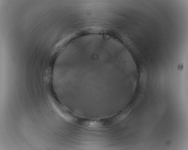 X0000113180165200909251451