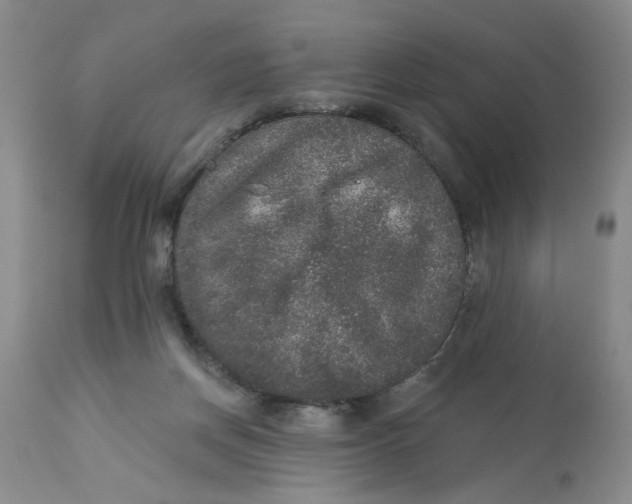 X0000113180166200909251451