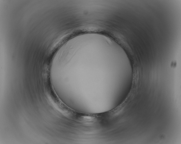X0000113180167200909251451