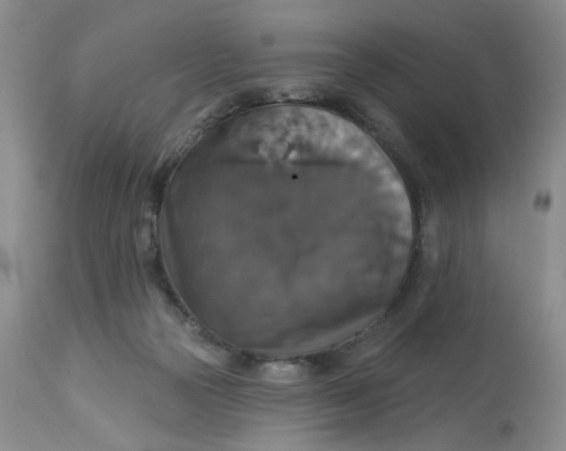 X0000113180169200909251451