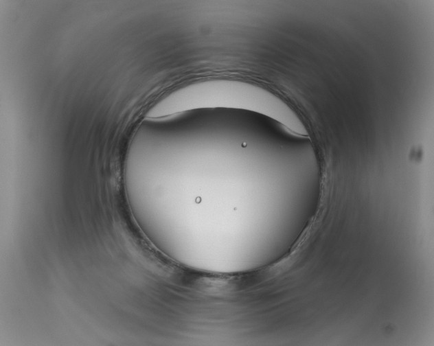 X0000113180170200909251451