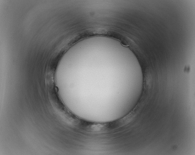 X0000113180172200909251451