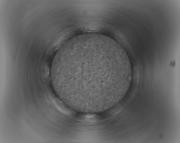 X0000113180173200909251451