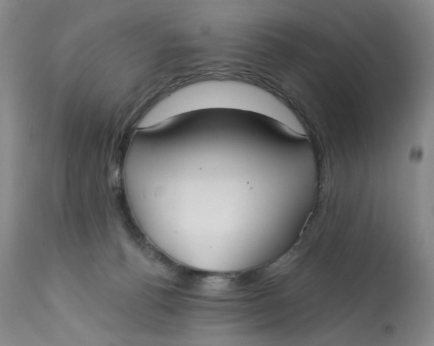 X0000113180176200909251451