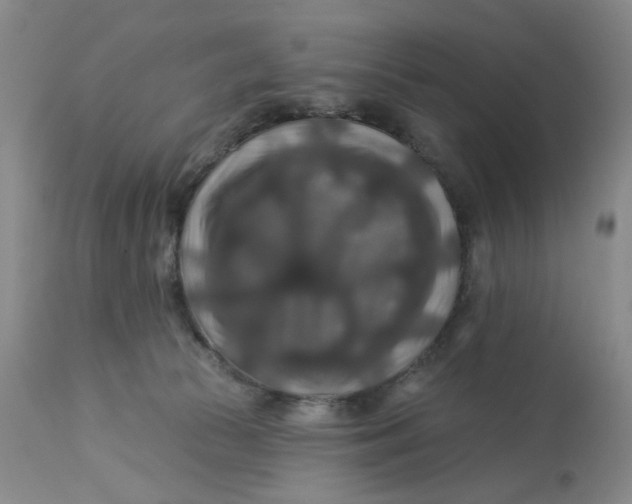 X0000113180177200909251451