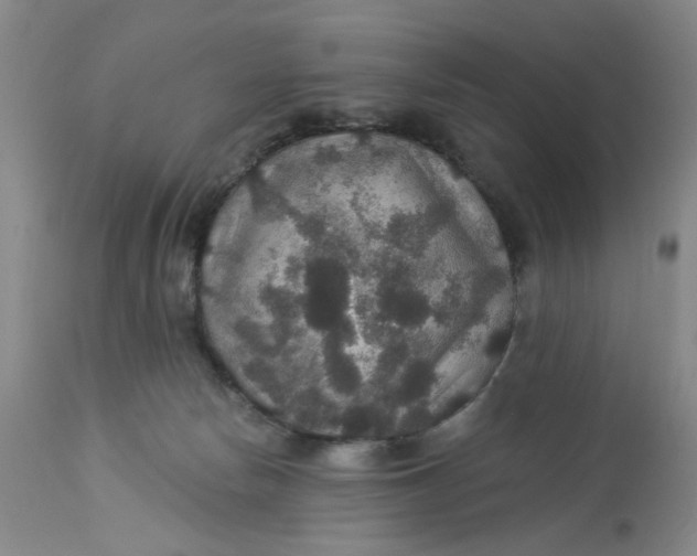 X0000113180178200909251451