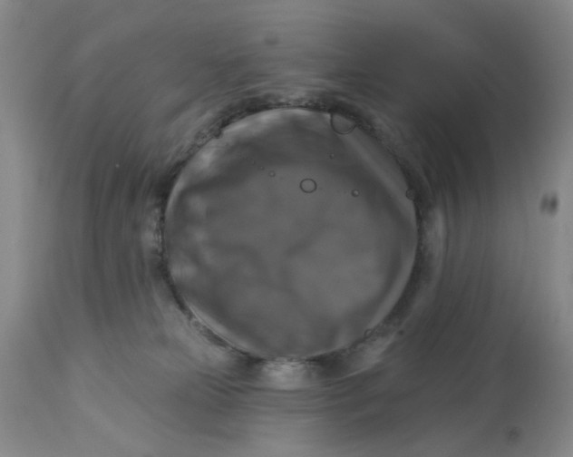 X0000113180181200909251451