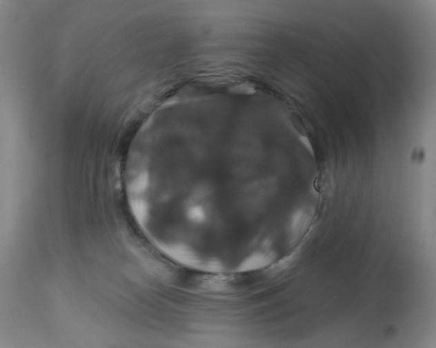 X0000113180182200909251451