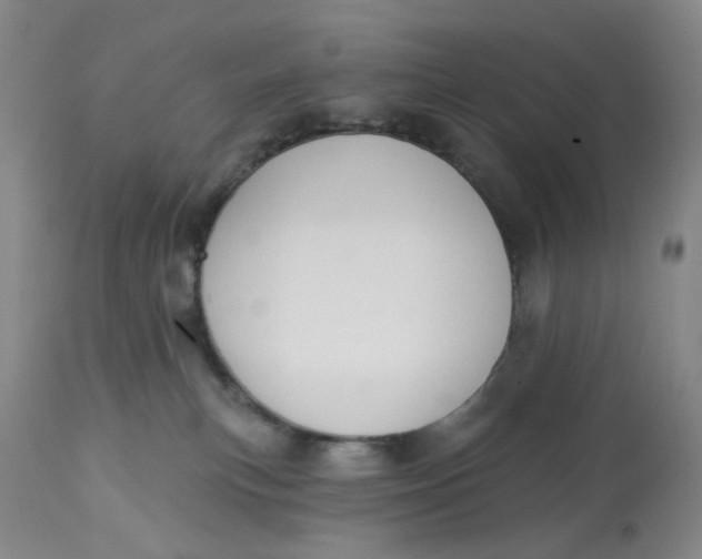 X0000113180183200909251451