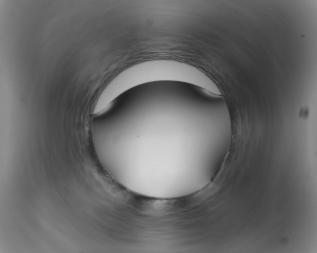X0000113180184200909251451
