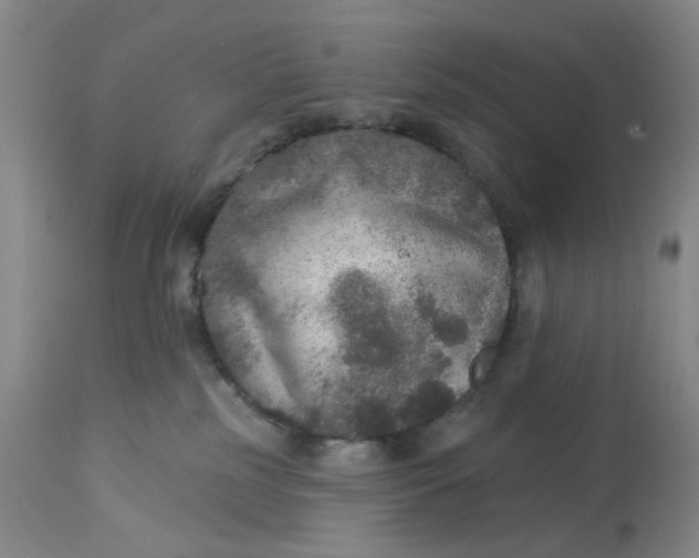 X0000113180185200909251451
