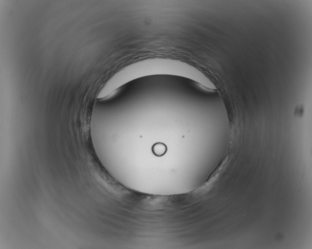 X0000113180186200909251451