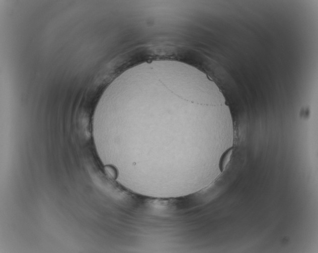 X0000113180187200909251451