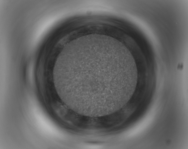 X0000113180189200909251451