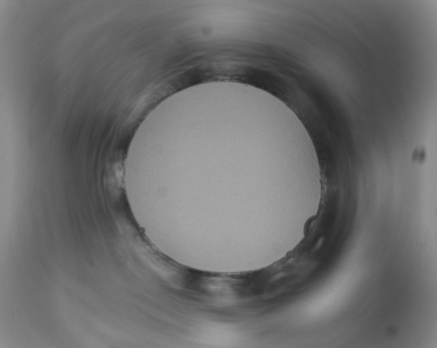 X0000113180190200909251451