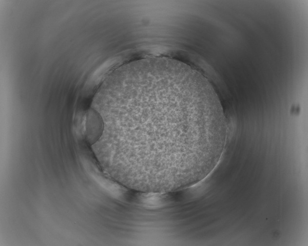 X0000113180191200909251451