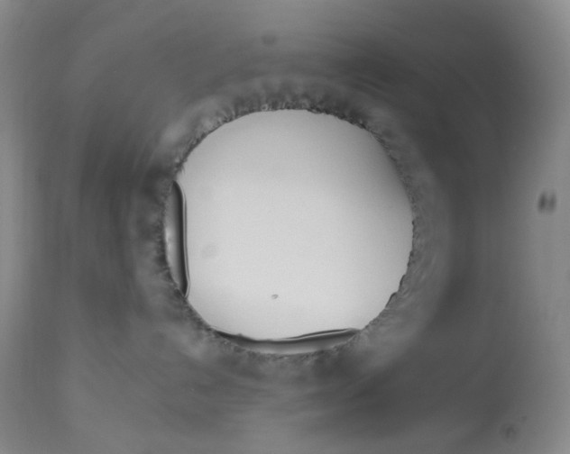 X0000113180192200909251451