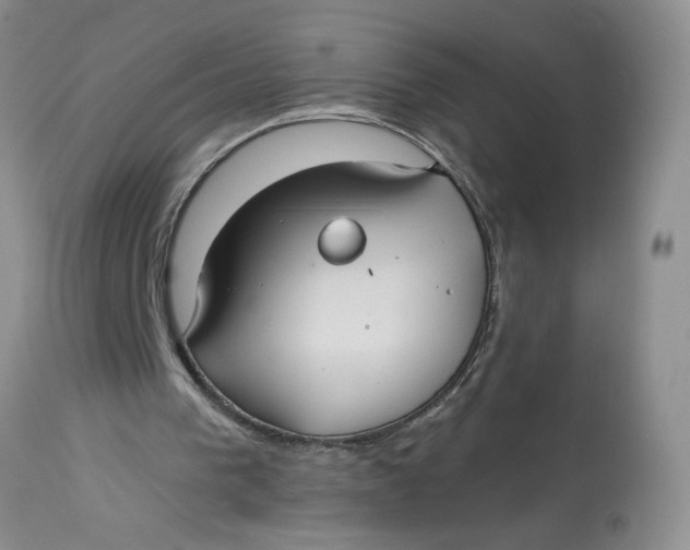 X0000113180193200909251450