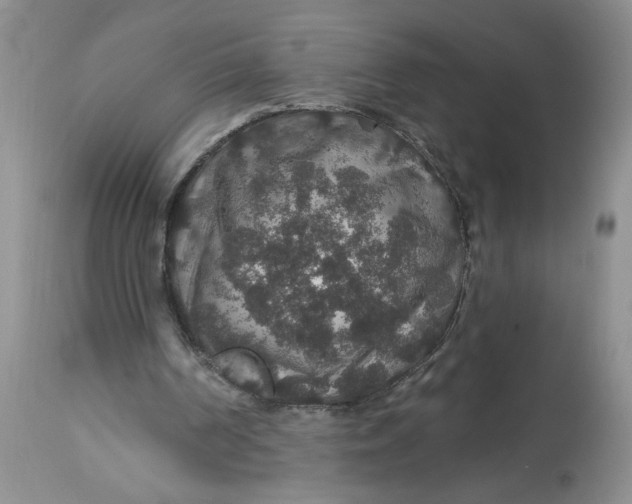 X0000113180194200909251450