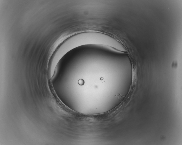 X0000113180195200909251450