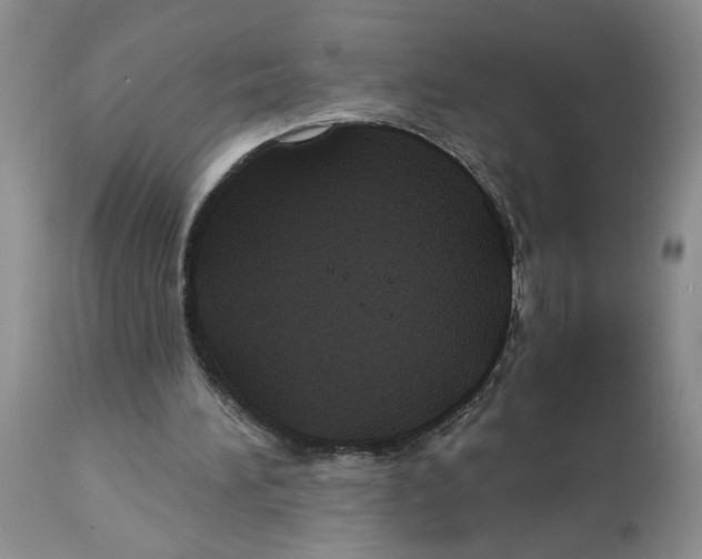 X0000113180196200909251450