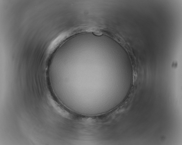 X0000113180197200909251450