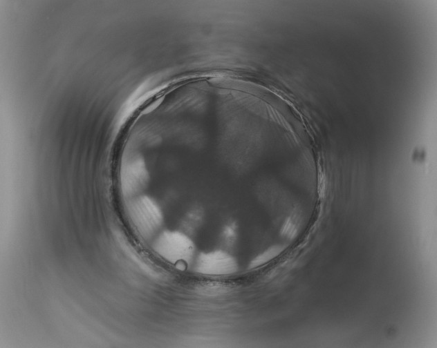 X0000113180198200909251450