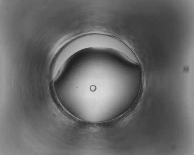 X0000113180199200909251450