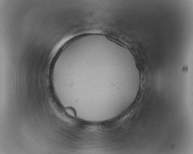 X0000113180200200909251450