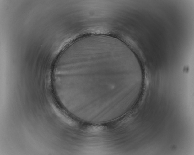 X0000113180202200909251450
