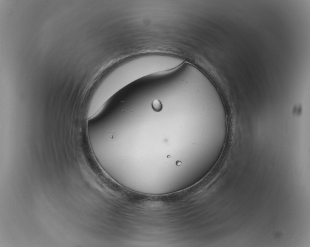 X0000113180203200909251450