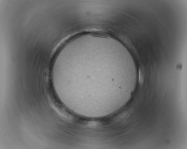 X0000113180204200909251450
