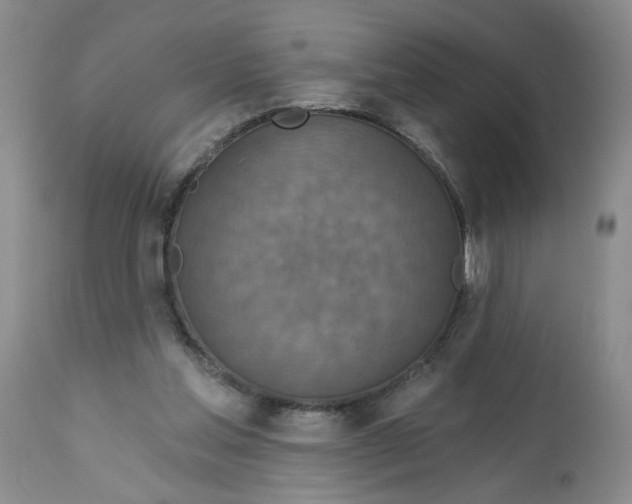 X0000113180205200909251450
