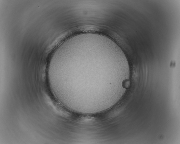X0000113180206200909251450