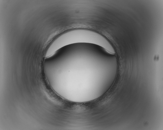 X0000113180207200909251450