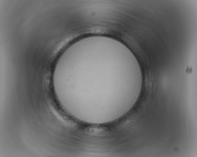 X0000113180208200909251450