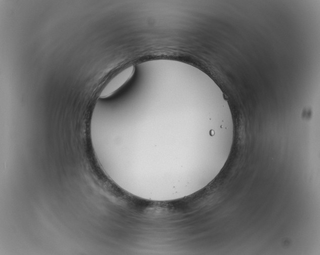 X0000113180211200909251450