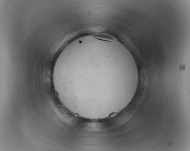 X0000113180212200909251450