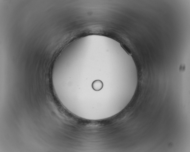 X0000113180213200909251450